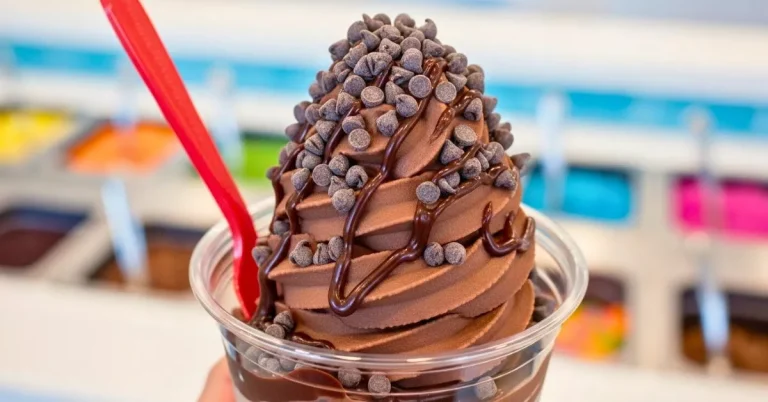 How To Make Chocolate Frozen Yogurt